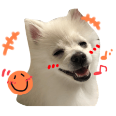 [LINEスタンプ] シンバさんroom