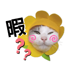 [LINEスタンプ] ハボちゃんです