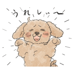 [LINEスタンプ] かわいい表情のトイプードル