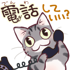 [LINEスタンプ] アメショのはなたん【暮らしのスタンプ】