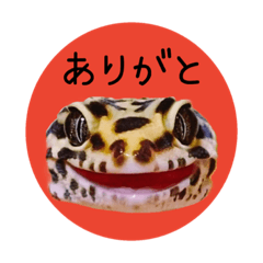 [LINEスタンプ] ぺろ、時々、どん