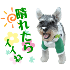 [LINEスタンプ] こむぎさんちのなかまたち2