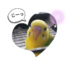 [LINEスタンプ] 動物たちの面白い日常