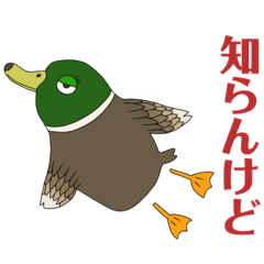 [LINEスタンプ] POPな千鳥 〜クセがスゴい〜