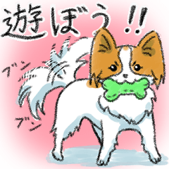 [LINEスタンプ] パピヨンの日常 パフィ＆シルク