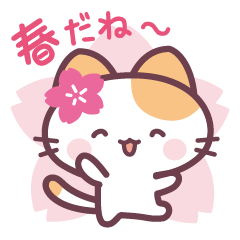 [LINEスタンプ] 桜ねこの春の挨拶