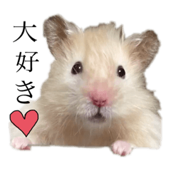 [LINEスタンプ] ハムスターマロたん