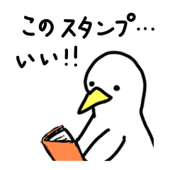 [LINEスタンプ] しろまるどりの日常スタンプ