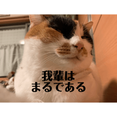 [LINEスタンプ] 春のまるのスタンプ