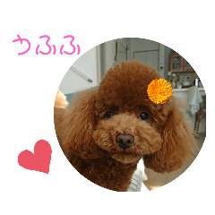 [LINEスタンプ] ティナのスタンプ13