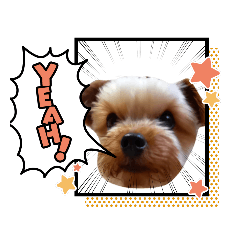 [LINEスタンプ] 外山家の愉快な仲間たちⅤ