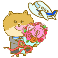 [LINEスタンプ] かわいい犬の客室乗務員(CA)さん