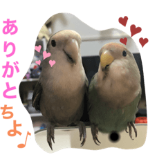 [LINEスタンプ] とりっぴーズ