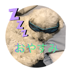 [LINEスタンプ] 犬   レイチ