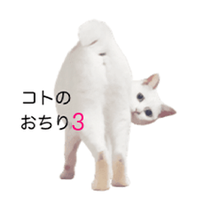 [LINEスタンプ] コトのおちり3