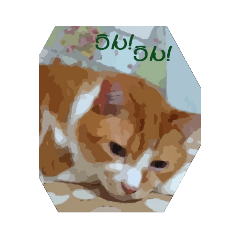[LINEスタンプ] チャオ君(イラスト風)