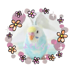 [LINEスタンプ] スミちゃんたち！