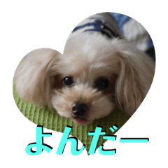 [LINEスタンプ] スタイリーサイタマ03