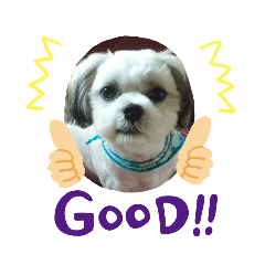 [LINEスタンプ] ぷーすけの毎日