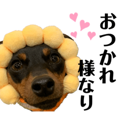 [LINEスタンプ] I AM カーメロ