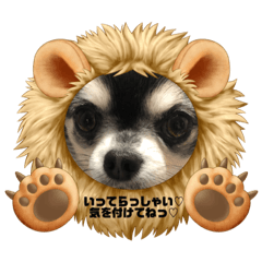 [LINEスタンプ] コロンくん＆ココアちゃん♡