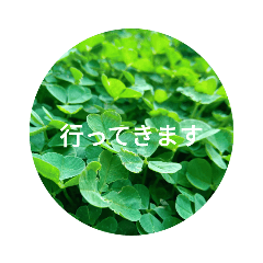 [LINEスタンプ] 毎日をクローバーでHAPPYに
