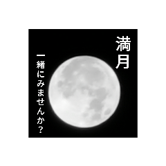 [LINEスタンプ] 満月と君。
