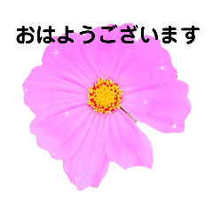 [LINEスタンプ] 日常で使える彩り花スタンプ(敬語ver)