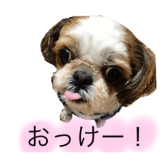 [LINEスタンプ] 武志と北翔