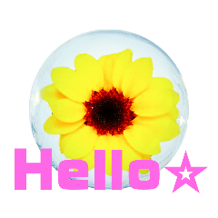 [LINEスタンプ] 日常に使える彩り花スタンプ（English)