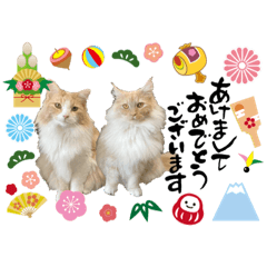 [LINEスタンプ] 小久保さんとライくん