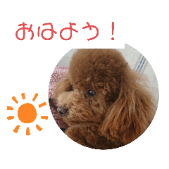 [LINEスタンプ] ティナのスタンプ14