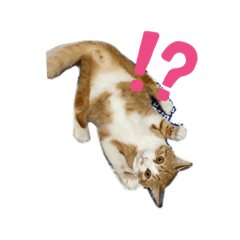 [LINEスタンプ] ごましおむぎブラザーズ