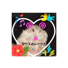 [LINEスタンプ] イエロージャンガリアンこたろう2