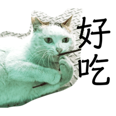 [LINEスタンプ] 穂高の可愛くないねこ