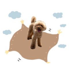 [LINEスタンプ] いっぬのSTAMP
