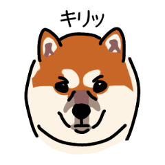 [LINEスタンプ] キリッと柴犬さん