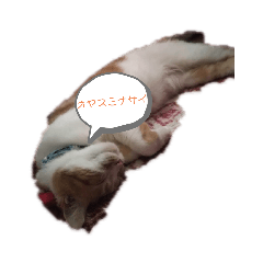 [LINEスタンプ] Pスタイル6