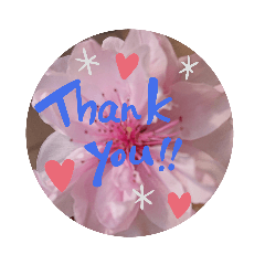 [LINEスタンプ] Thank-you japan