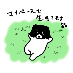 [LINEスタンプ] 狆のにこちゃんスタンプ2