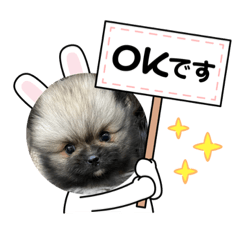[LINEスタンプ] トイプーモカちゃんとポメくぅちゃん