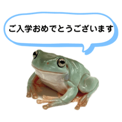 [LINEスタンプ] イエアメガエル 入園 入学式編