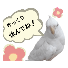 [LINEスタンプ] お大事にスタンプ