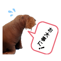 [LINEスタンプ] お大事スタンプ