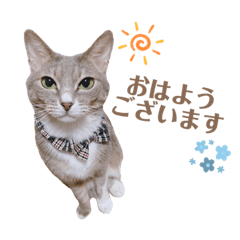 [LINEスタンプ] mira 敬語スタンプ