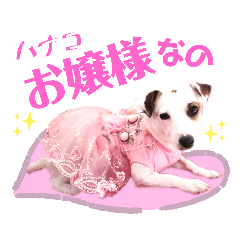 [LINEスタンプ] 愛犬♡ハナコのスタンプ9