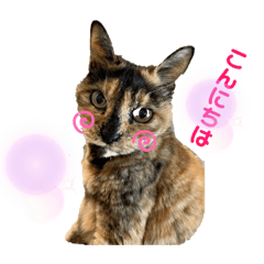 [LINEスタンプ] ツンデレふく 2