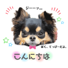 [LINEスタンプ] てっぴースタンプ