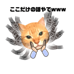 [LINEスタンプ] ちゃとらのしょうごもの呟き2(大阪弁)