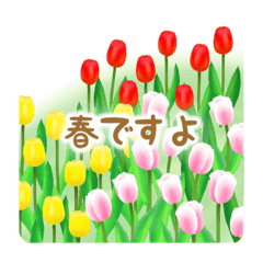[LINEスタンプ] 春の花咲く